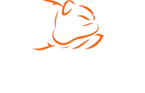 bbm_logo_primary_reverse